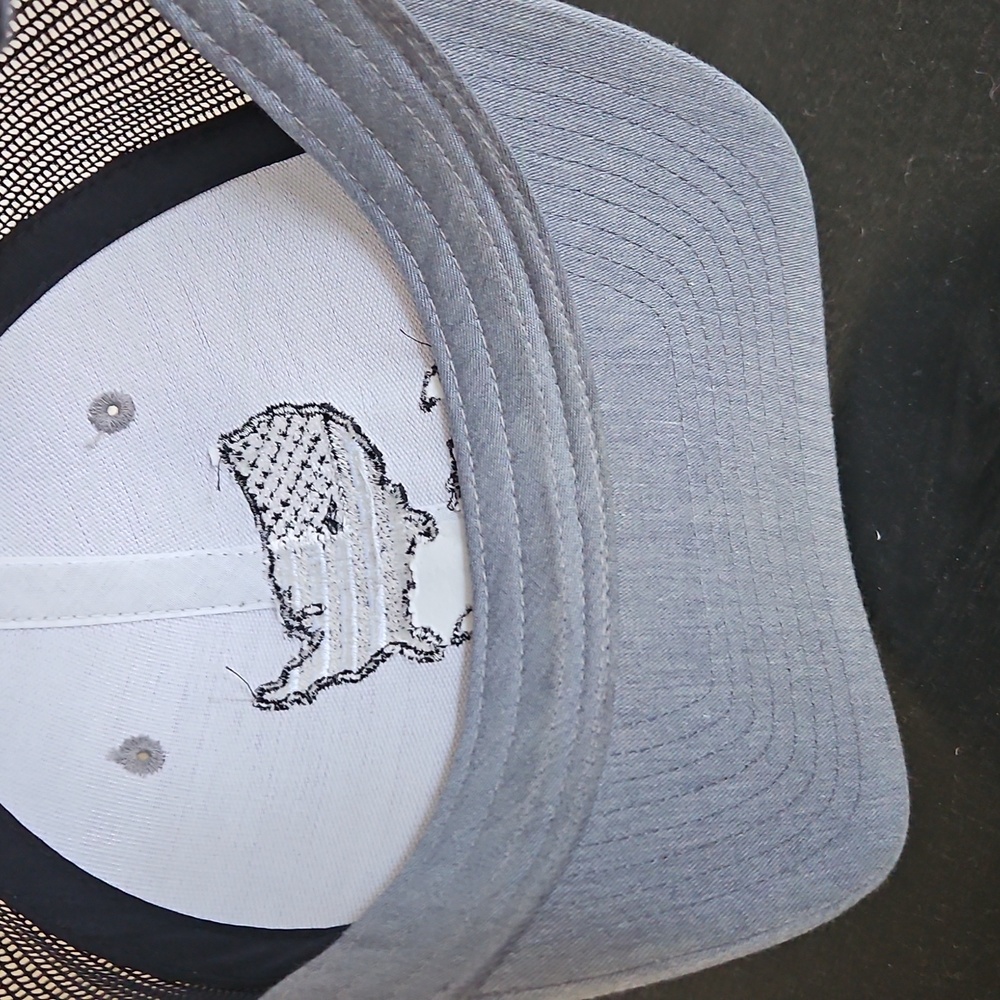 Southern Snap Gray and Black Cap - Picture 3 of 3